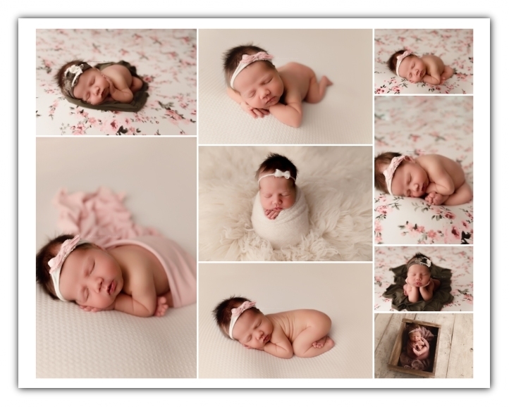 newborn girl session; floral, cream, and pink colors