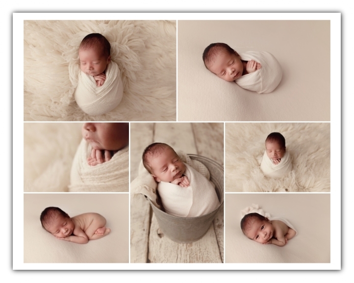 newborn baby boy session; cream and neutal colors