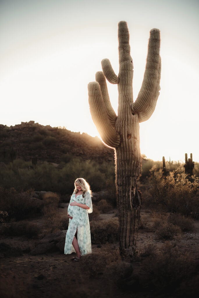 maternity session in the Arizona desert with the sun setting behind a cactus